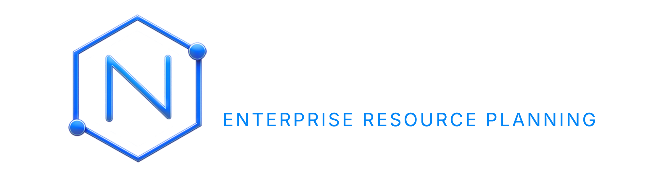 Nexora Logo